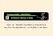 Aula 11 â€“ Ncleo interfsico: membrana nuclear nucleoplasma, cromatina e nucl©olo