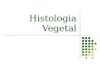 Histologia Vegetal. Tecidos vegetais Conjunto de células diferenciadas e especializadas na realização de determinadas funções; Organizam-se em três sistemas