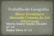 Bloco Econômico Mercado Comum do Sul (Mercosul) Maria Dulce Sayão Elcadri nº 10 Ráiza Silva nº 15 1