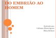 DO EMBRIÃO AO HOMEM Realizado por: Liliana Henriques Rita Brites