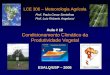 Condicionamento Climático da Produtividade Vegetal LCE 306 – Meteorologia Agrícola Prof. Paulo Cesar Sentelhas Prof. Luiz Roberto Angelocci ESALQ/USP –