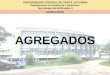 UNIVERSIDADE FEDERAL DE SANTA CATARINA Departamento de Arquitetura e Urbanismo Tecnologia da Edificação II AGREGADOS