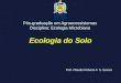 Ecologia do Solo Pós-graduação em Agroecossistemas Disciplina: Ecologia Microbiana Prof. Cláudio Roberto F. S. Soares