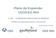1 Plano de Expansão CEG/CEG RIO X CBE - CONGRESSO BRASILEIRO DE ENERGIA Política de Desenvolvimento e Uso de GN 26 de Outubro de 2004