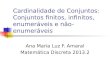Cardinalidade de Conjuntos: Conjuntos finitos, infinitos, enumeráveis e não-enumeráveis Ana Maria Luz F. Amaral Matemática Discreta 2013.2