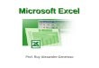 Microsoft Excel Prof. Ruy Alexandre Generoso. O Microsoft Excel atualmente é o programa de folha de cálculo mais popular do mercado. As planilhas eletrônicas