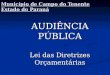 Município de Campo do Tenente Estado do Paraná AUDIÊNCIA PÚBLICA Lei das Diretrizes Orçamentárias 2010