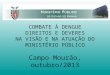 COMBATE À DENGUE DIREITOS E DEVERES NA VISÃO E NA ATUAÇÃO DO MINISTÉRIO PÚBLICO Campo Mourão, outubro/2013