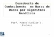 1 Descoberta de Conhecimento em Bases de Dados por Algoritmos Genéticos Prof. Marco Aurélio C. Pacheco