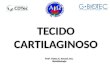 TECIDO CARTILAGINOSO Prof a. Marta G. Amaral, Dra. Histofisiologia Prof a. Marta G. Amaral, Dra. Histofisiologia