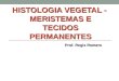 HISTOLOGIA VEGETAL - MERISTEMAS E TECIDOS PERMANENTES Prof. Regis Romero