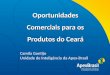 Título da apresentação Mercados Potenciais para os Produtos do Pará Ulisses Pimenta Unidade de Inteligência da Apex-Brasil Título da apresentação Oportunidades
