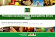 Prevenção da Encefalopatia Espongiforme Bovina (EEB) Serviço de Sanidade Agropecuária – SEDESA Superintendência Federal de Agricultura no Estado de São