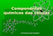 Componentes químicos das células Profª Marília Scopel Andrighetti