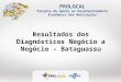 PROLOCAL Projeto de Apoio ao Desenvolvimento Econômico dos Municípios Resultados dos Diagnósticos Negócio a Negócio – Bataguassu