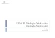 UBA III Biologia Molecular Biologia Molecular 1º Ano 2012/2013
