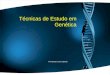 Técnicas de Estudo em Genética Prof.Doutor José Cabeda