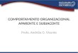 COMPORTAMENTO ORGANIZACIONAL APARENTE E SUBJACENTE Profa. Andréia O. Vicente
