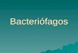 Bacteriófagos. Viroses Doenças causadas por vírus
