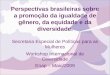 Perspectivas brasileiras sobre a promoção da igualdade de gênero, da equidade e da diversidade. Secretaria Especial de Políticas para as Mulheres Workshop