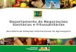 Departamento de Negociações Sanitárias e Fitossanitárias Secretaria de Relações Internacionais do Agronegócio