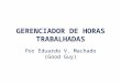 GERENCIADOR DE HORAS TRABALHADAS Por Eduardo V. Machado (Good Guy)
