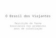 O Brasil dos Viajantes Descrição da fauna brasileira nos primeiros anos de colonização
