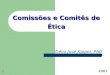 1 Comissões e Comitês de Ética Délio José Kipper, PhD 2007