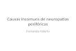 Causas incomuns de neuropatias periféricas Fernanda Valerio