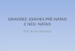 GRAVIDEZ, EXAMES PRÉ-NATAIS E NEO- NATAIS Prof. Bruno Menezes
