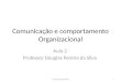 Comunicação e comportamento Organizacional Aula 2 Professor Douglas Pereira da Silva 1Comp Org 2014 DPS