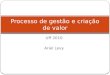 Uff 2010 Ariel Levy Processo de gestão e criação de valor