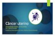 Câncer uterino UNIVERSIDADE FEDERAL DO TOCANTINS Lion – Liga de Oncologia Acadêmicos: Bruno Queiroz Luz Hirano, Frederico Vilarinho Bernardes