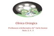 Clinica Cirúrgica Professora e Enfermeira :Drª Carla Gomes Aula: 3, 4, 5