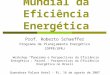 Panorama Mundial da Eficiência Energética Prof. Roberto Schaeffer Programa de Planejamento Energético COPPE/UFRJ Workshop “Panorama e Perspectivas da Eficiência