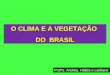 O CLIMA E A VEGETAÇÃO DO BRASIL Profªs: Andréa, Hálida e Leidiane