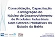 SENAI Cimatec Centro Integrado de Manufatura e Tecnologia Consolidação, Capacitação e Integração do Núcleo de Desenvolvimento de Produtos Industriais Com