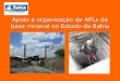 Apoio à organização de APLs de base mineral no Estado da Bahia