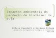 Impactos ambientais da produção de biodiesel de soja Otávio Cavalett e Enrique Ortega Laboratório de Engenharia Ecológica e Informática Aplicada