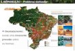 FONTE:  Desmatamento: existe uma crescente pressão sobre os biomas; 1. INTRODUÇÃO – Problema