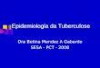 Epidemiologia da Tuberculose Dra Betina Mendez A Gabardo SESA - PCT - 2008