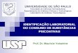 IDENTIFICAÇÃO LABORATORIAL DO CONSUMO DE SUBSTÂNCIAS PSICOATIVAS UNIVERSIDADE DE SÃO PAULO Faculdade de Ciências Farmacêuticas Departamento de Análises