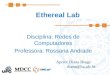 Ethereal Lab Disciplina: Redes de Computadores Professora: Rossana Andrade Apoio: Diana Braga diana@lia.ufc.br
