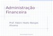 Administração Financeira Prof. Fabini Hoelz Bargas Alvarez