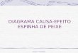 Amigos da Qualidade DIAGRAMA CAUSA-EFEITO ESPINHA DE PEIXE