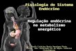 Fisiologia do Sistema Endócrino Regulação endócrina no metabolismo energético Profa Cristina Maria Henrique Pinto Profa. Dra. Associada III do Depto. Ciências
