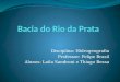 Disciplina: Hidrogeografia Professor: Felipe Brasil Alunos: Laila Sandroni e Thiago Bessa