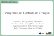 Programa de Controle da Dengue Gerência de Vigilância Ambiental Sub Secretaria de Vigilância em Saúde Superintendência de Epidemiologia Belo Horizonte,