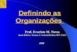 Definindo as Organizações Prof. Evaristo M. Neves Apoio didático: Mariana P. Stefanini/Bolsista PET-GAEA 2008