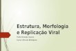 Estrutura, Morfologia e Replicação Viral Profa Briseidy Soares Curso Ciências Biológicas